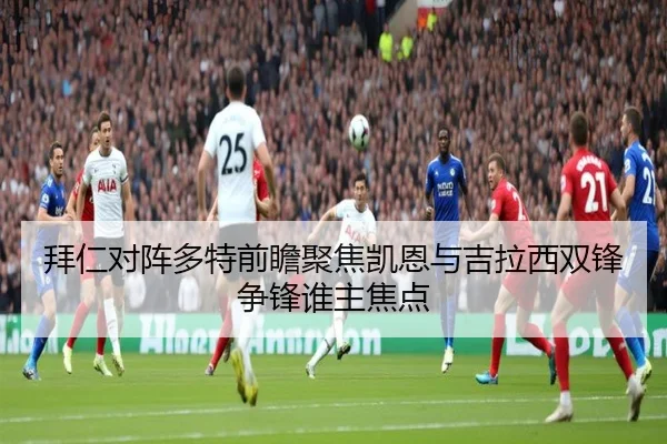 拜仁对阵多特前瞻聚焦凯恩与吉拉西双锋争锋谁主焦点 - kaiyun